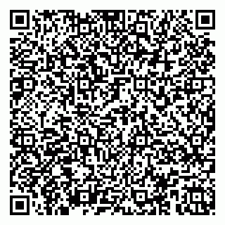 vCard 79104979079