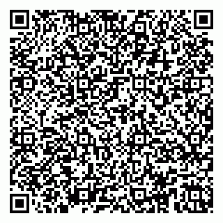 vCard 79104979201
