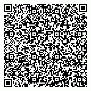 vCard 79104979334