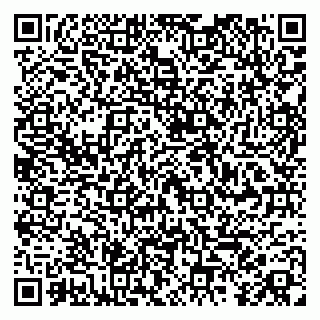 vCard 79104980433