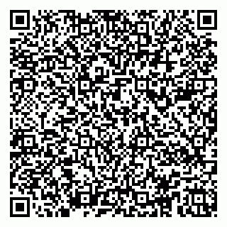 vCard 79104980909