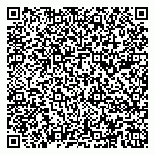 vCard 79104981384