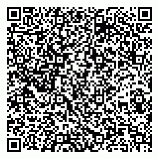 vCard 79104982003