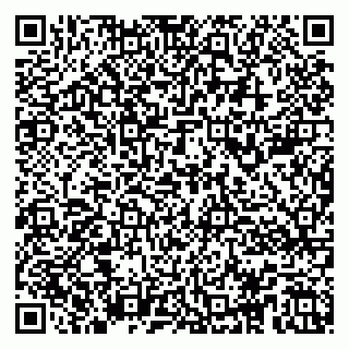 vCard 79104983705