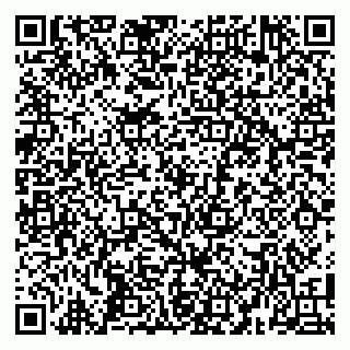 vCard 79104985293