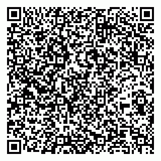 vCard 79104985373