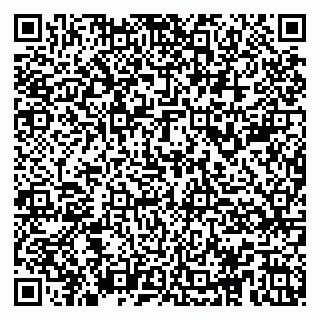 vCard 79104985403
