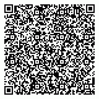 vCard 79104985481