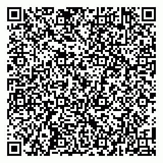 vCard 79104986303