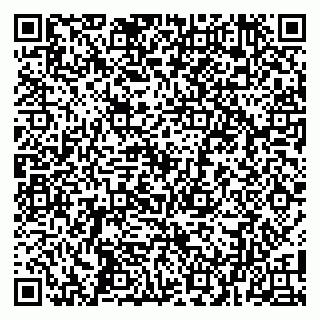 vCard 79104986901