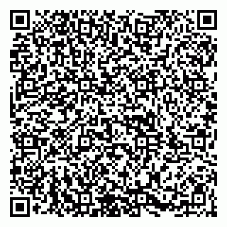 vCard 79104987005