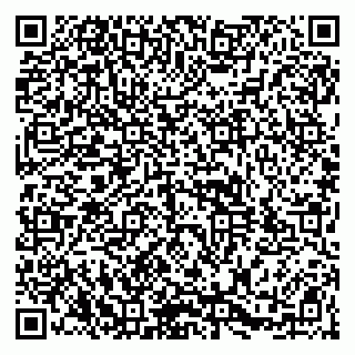 vCard 79104987142