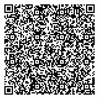 vCard 79104987201