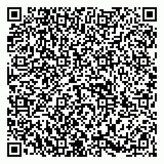 vCard 79104987203