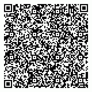 vCard 79104987293