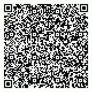 vCard 79104987331