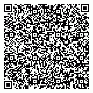 vCard 79104987403