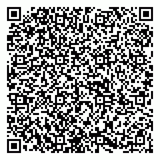 vCard 79104987489