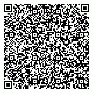 vCard 79104987663