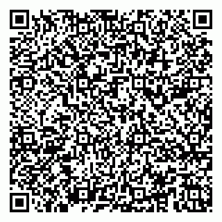 vCard 79104987682