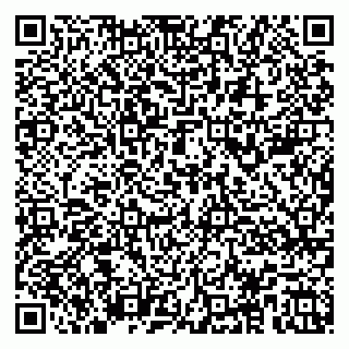 vCard 79104987698