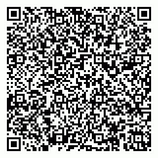 vCard 79104988511