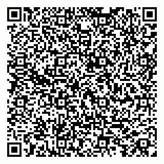 vCard 79104989179