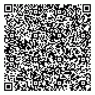vCard 79104989181