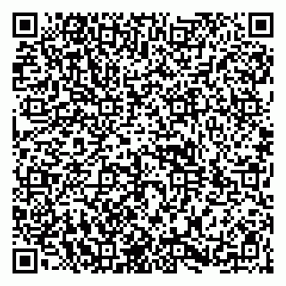 vCard 79104989395