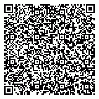 vCard 79104989751
