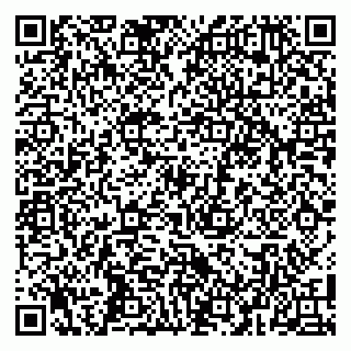 vCard 79104990100