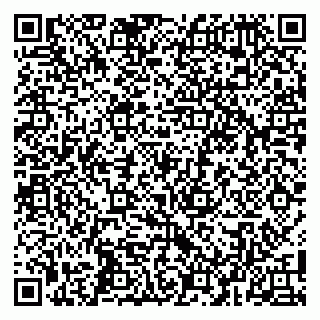 vCard 79104990908
