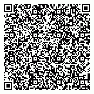 vCard 79104990987