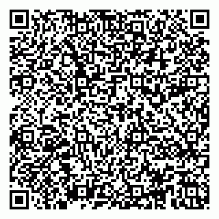 vCard 79104991002