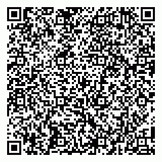 vCard 79104993201