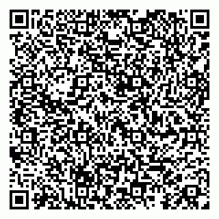 vCard 79104993203