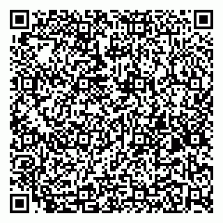 vCard 79104993231