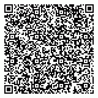 vCard 79104993237