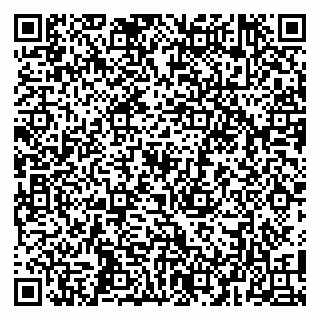 vCard 79104993303