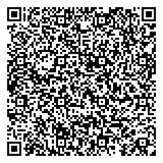 vCard 79104993333