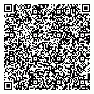 vCard 79104993454