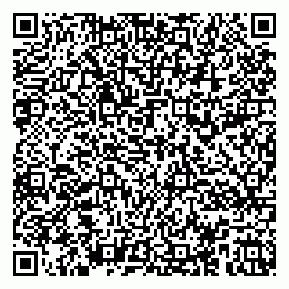 vCard 79104993479