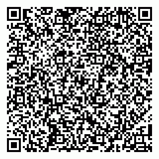 vCard 79104993489
