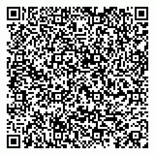 vCard 79104993733