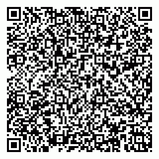 vCard 79104994013