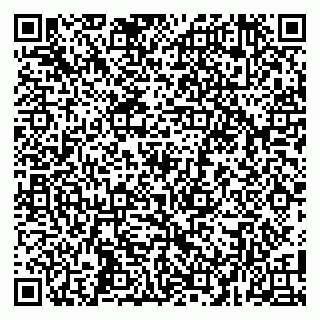 vCard 79104994311