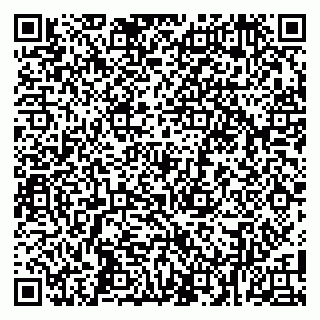 vCard 79104995239