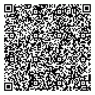 vCard 79104995294