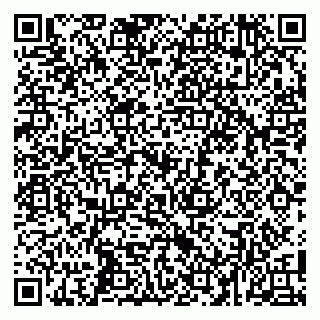 vCard 79104995331