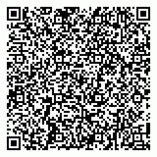 vCard 79104995335